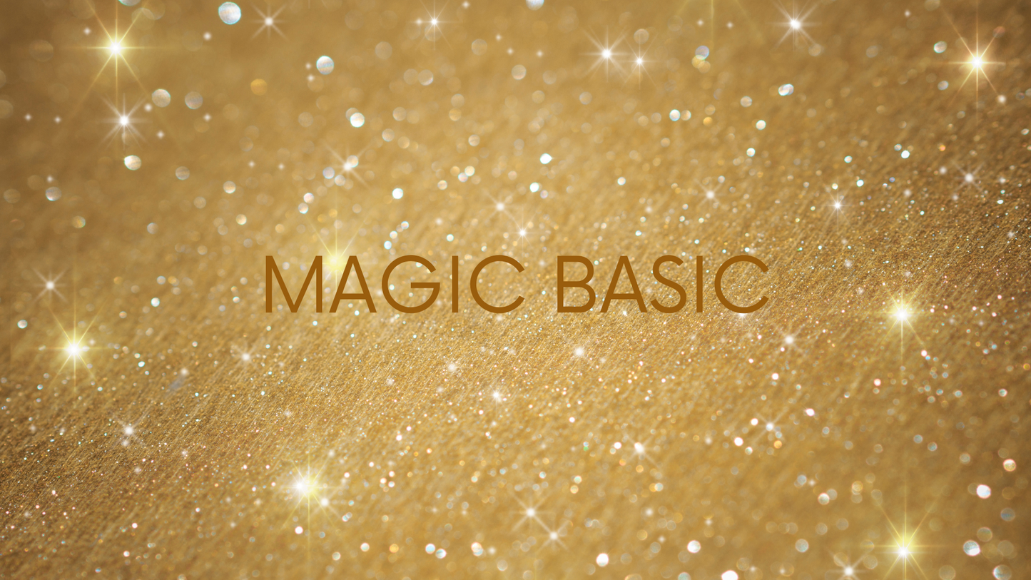 MAGIC Online Kurs
